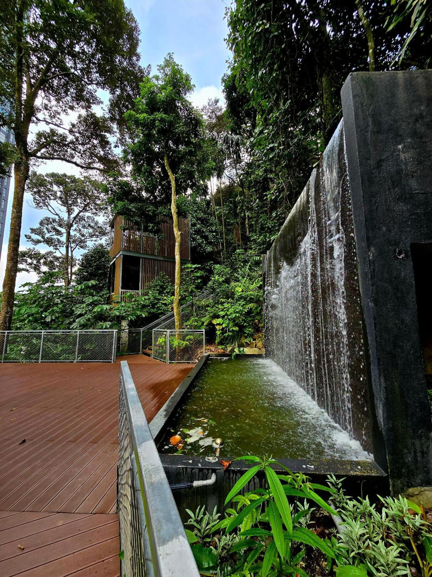 Forest Damasara Seresta 6 Pax- 2carpark Pangsapuri *
