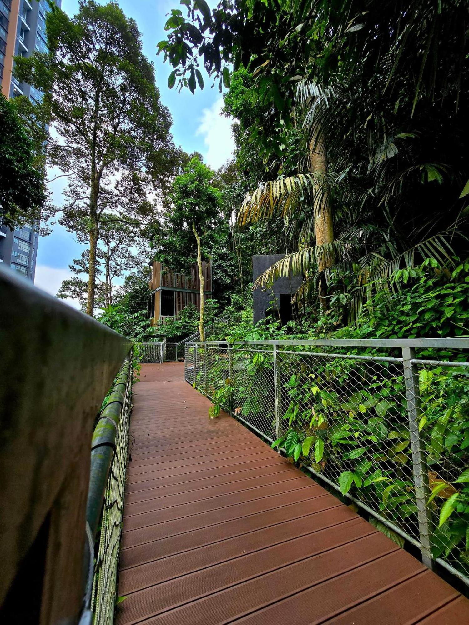 Pangsapuri Forest Damasara Seresta 6 Pax- 2carpark *