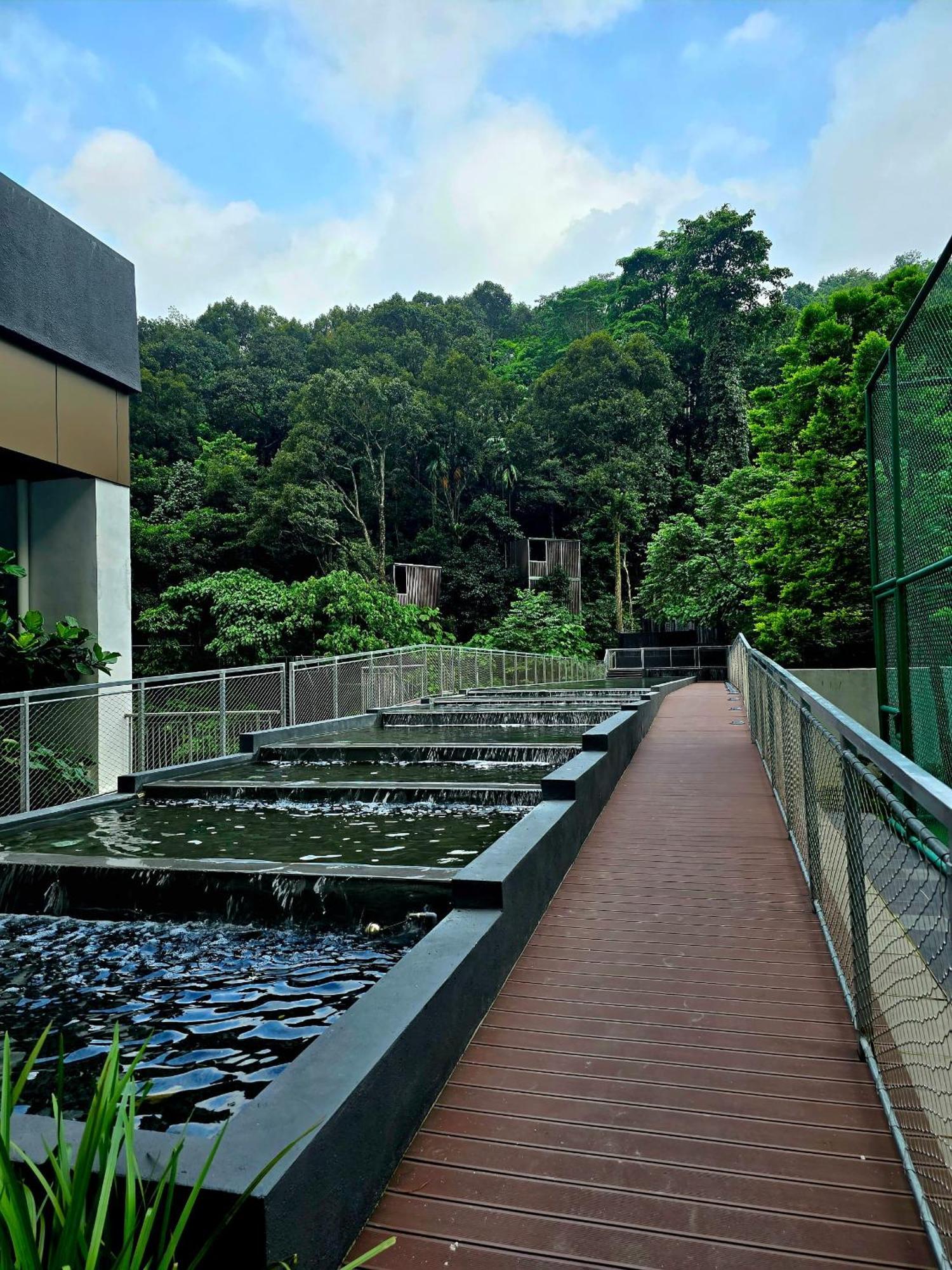Forest Damasara Seresta 6 Pax- 2carpark Pangsapuri Kuala Lumpur